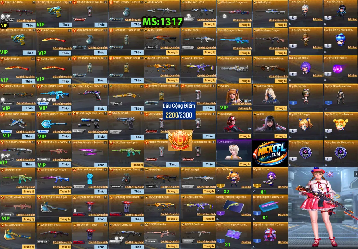 Account 1317