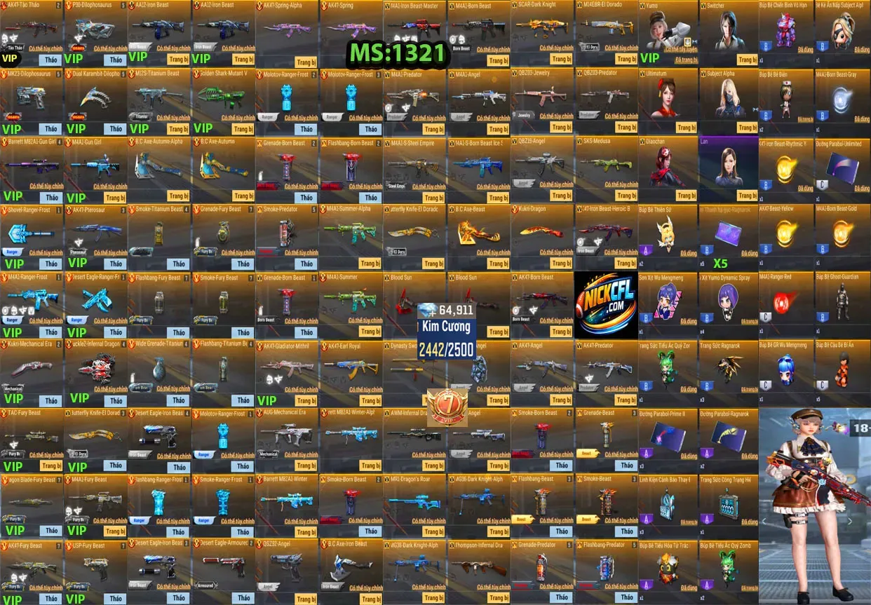 Account 1321