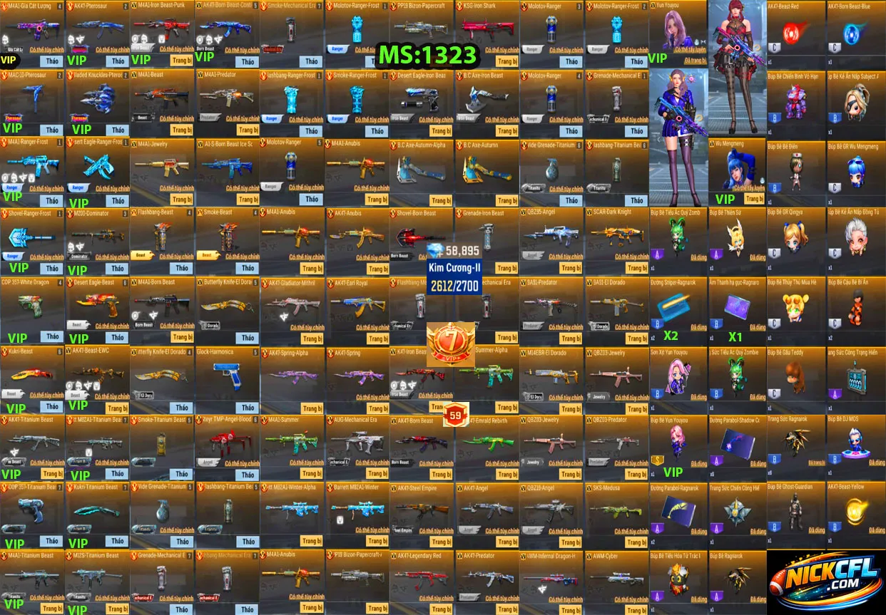 Account 1323