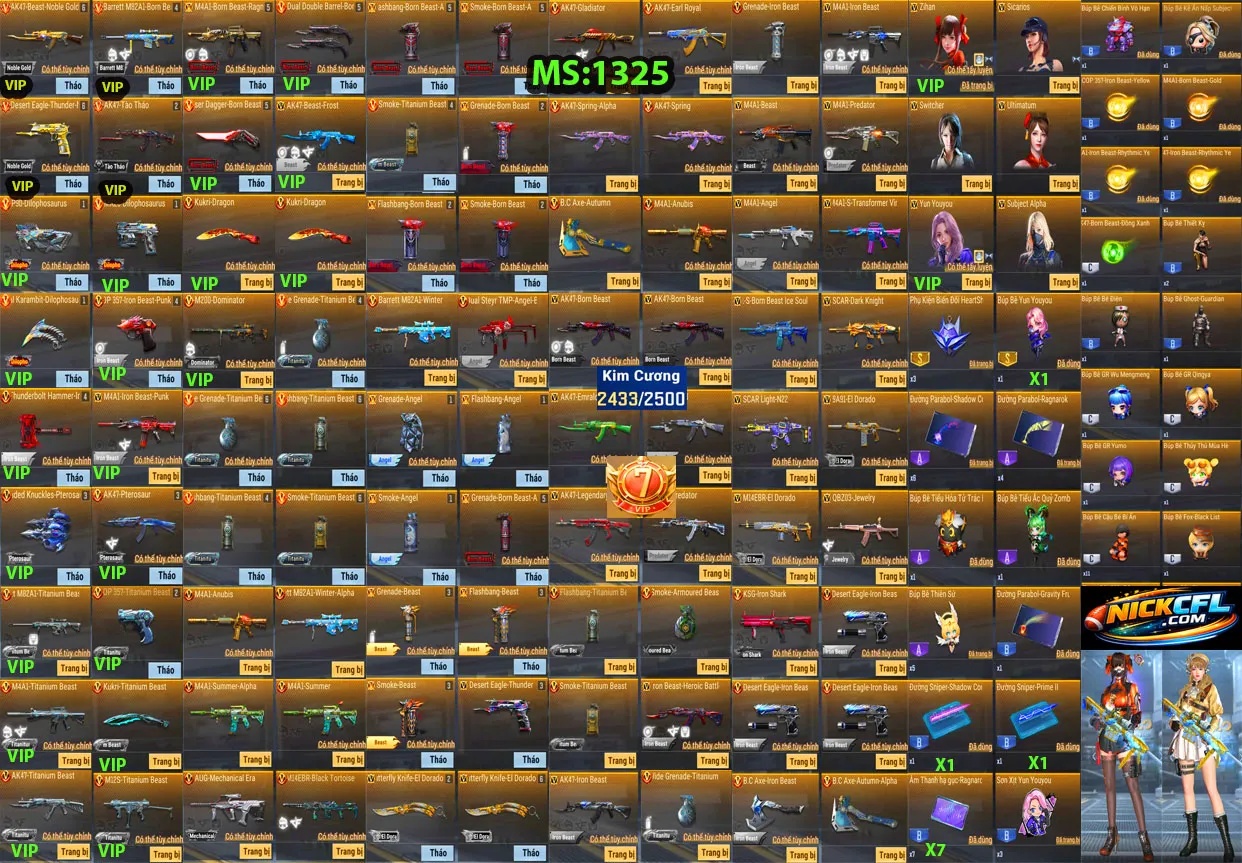 Account 1325