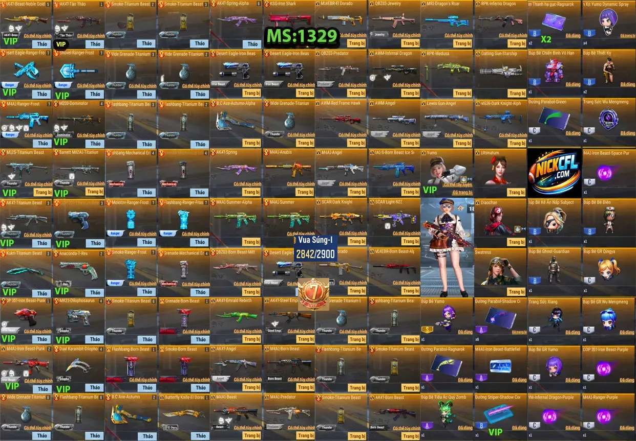 Account 1329