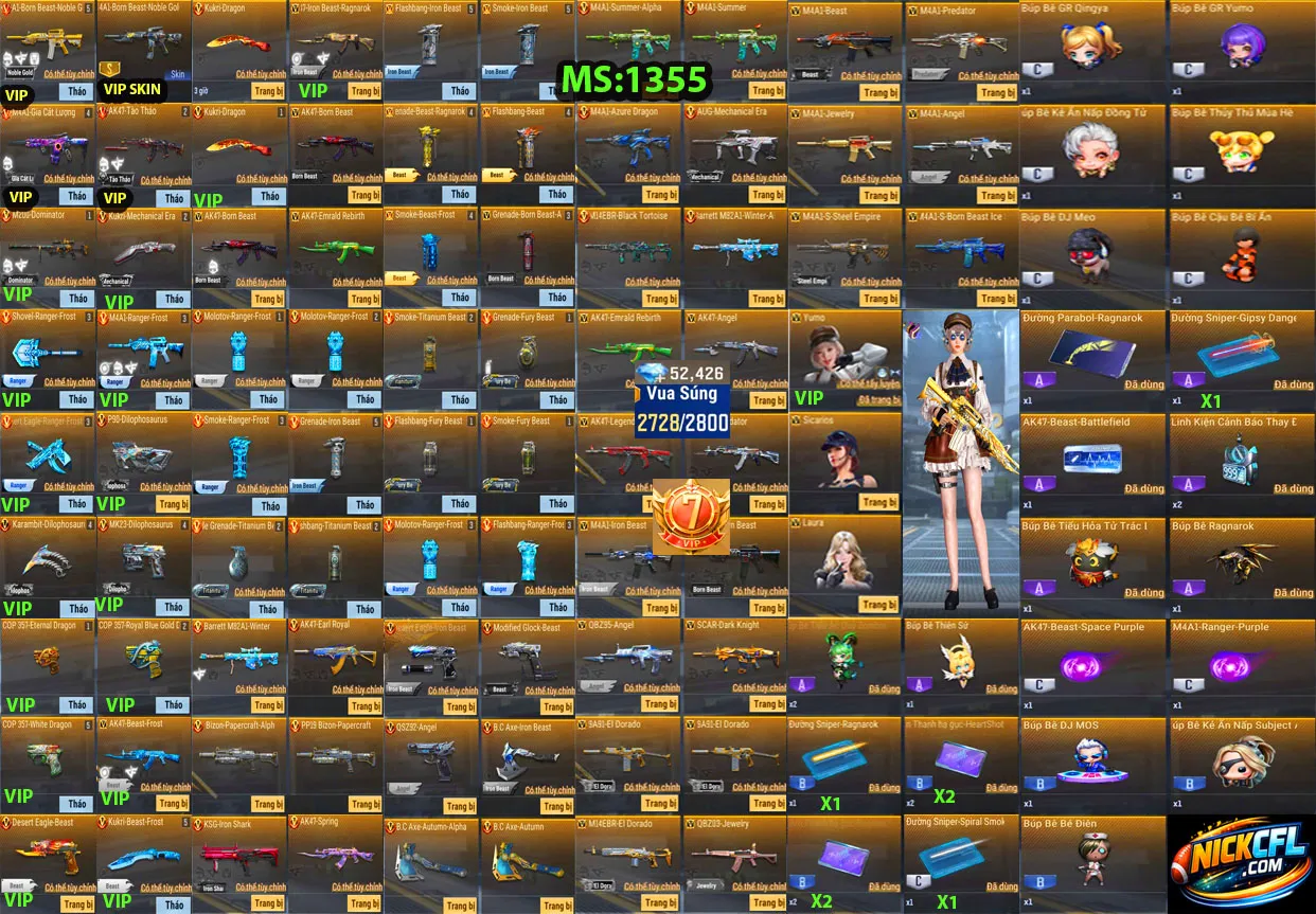Account 1355