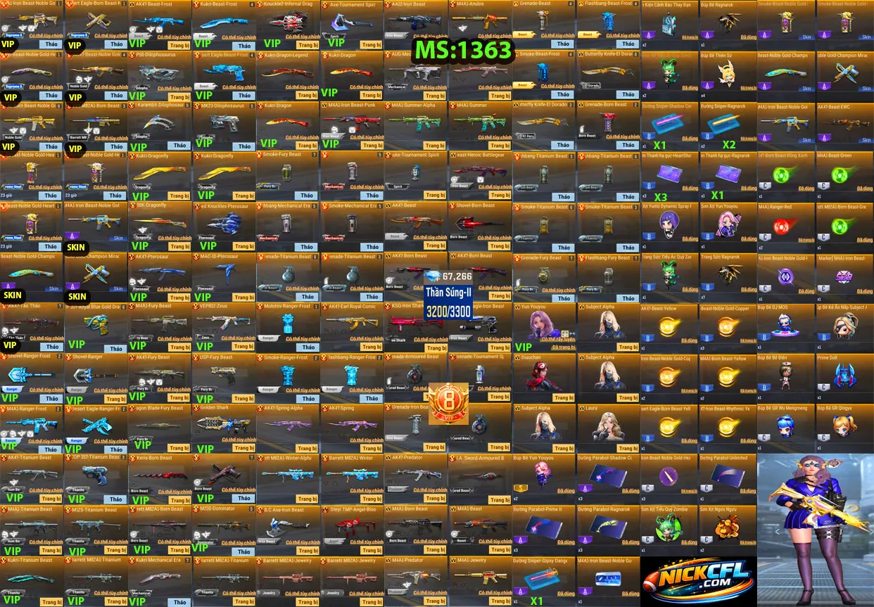 Account 1363