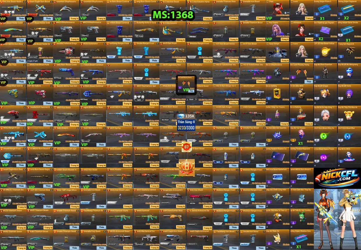 Account 1368