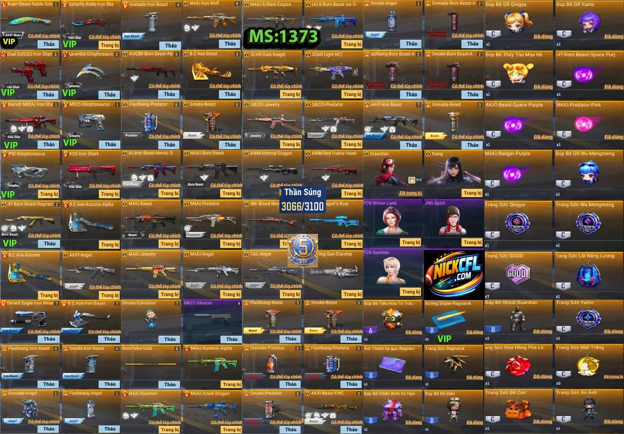 Account 1373