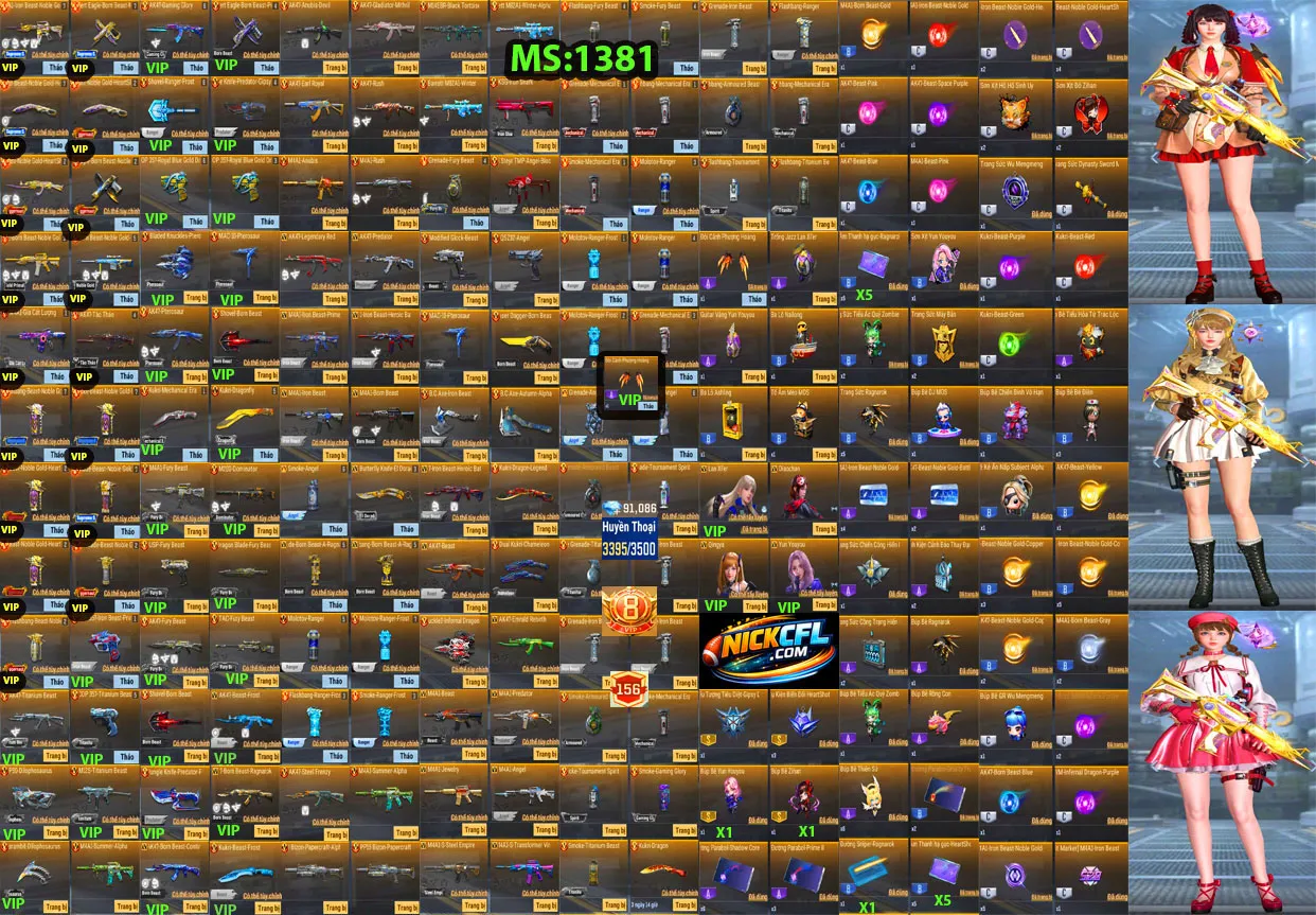 Account 1381