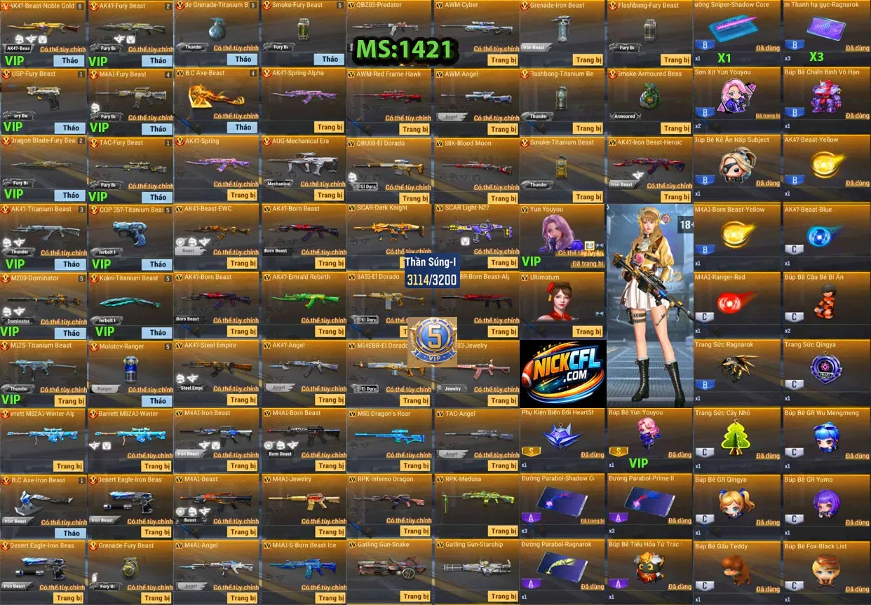 Account 1421