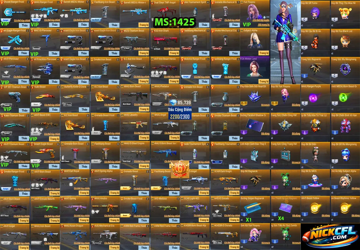 Account 1425