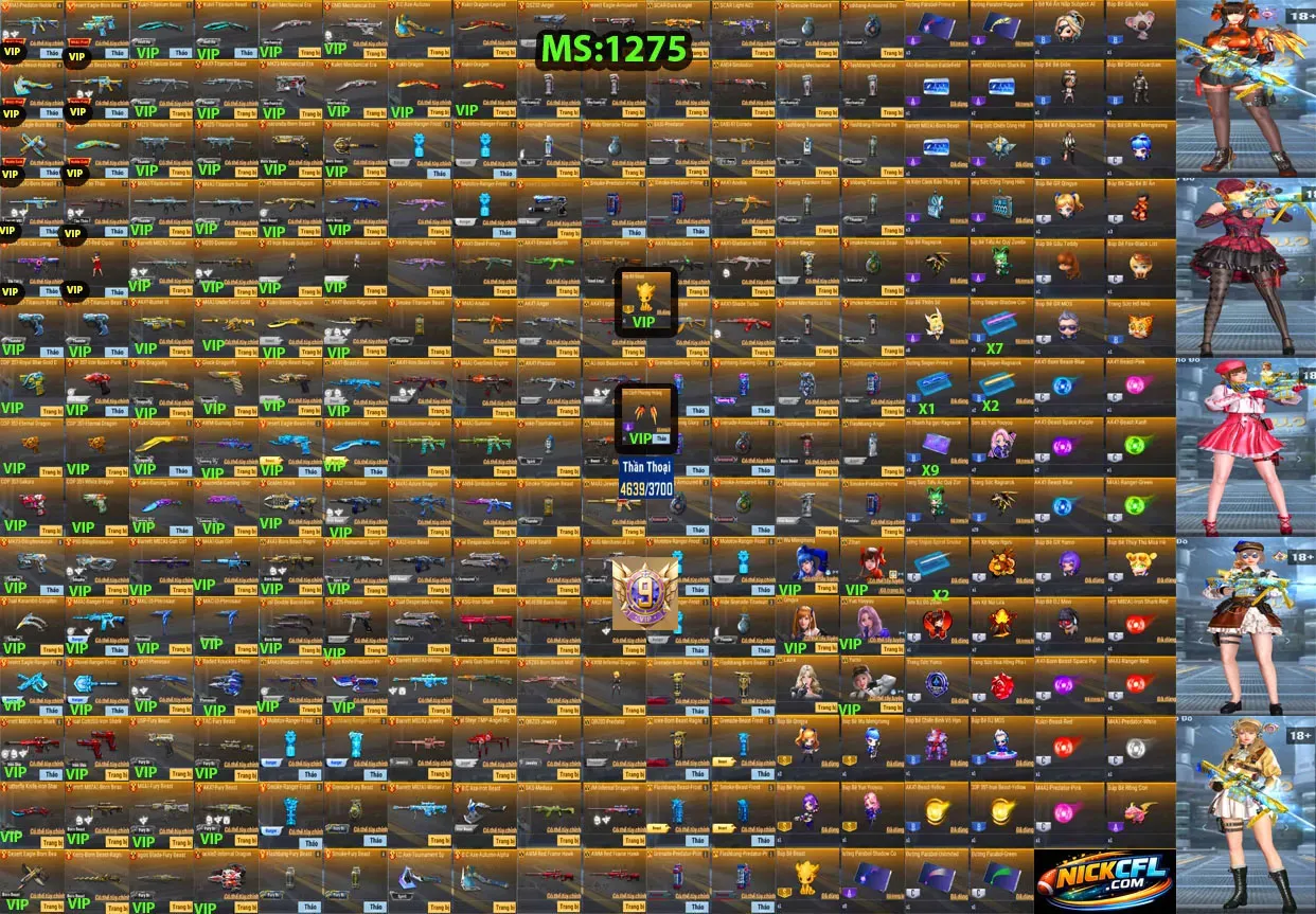Account 1275