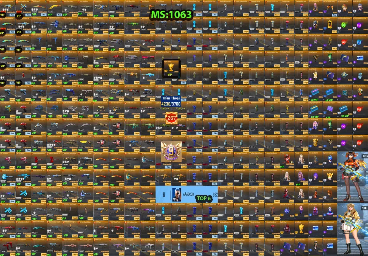 Account 1063