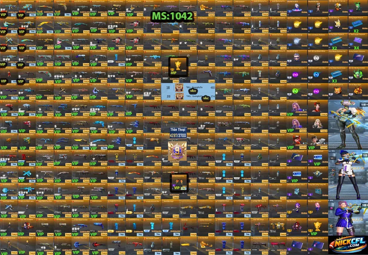 Account 1042