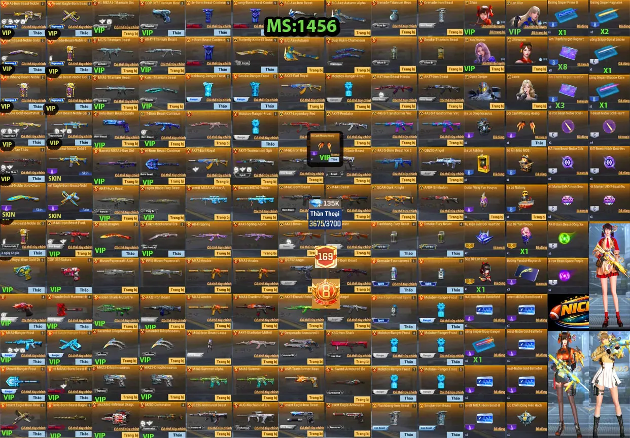 Account 1456