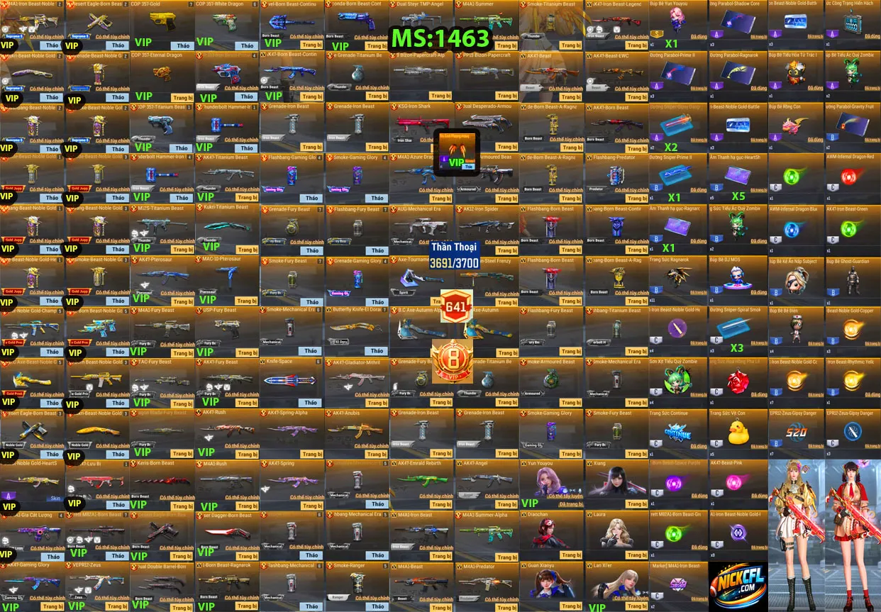 Account 1463