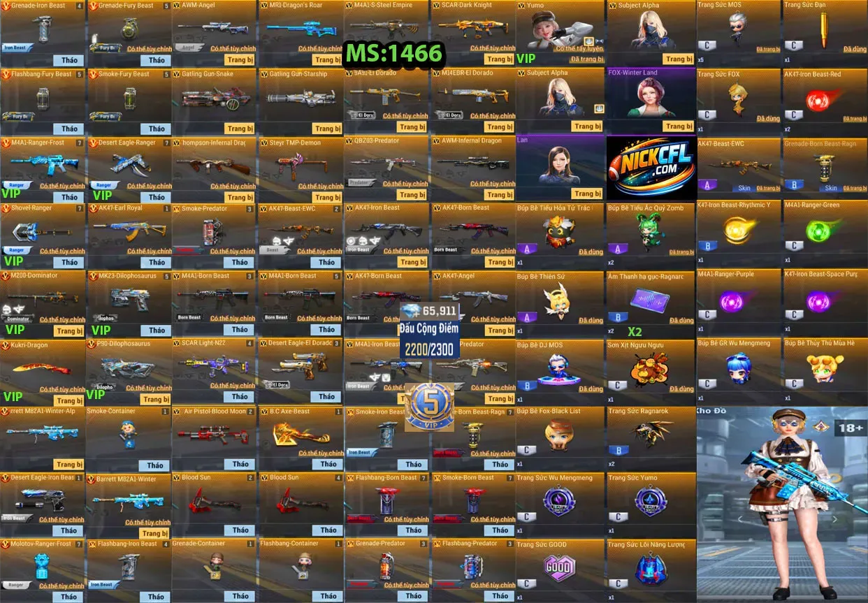 Account 1466