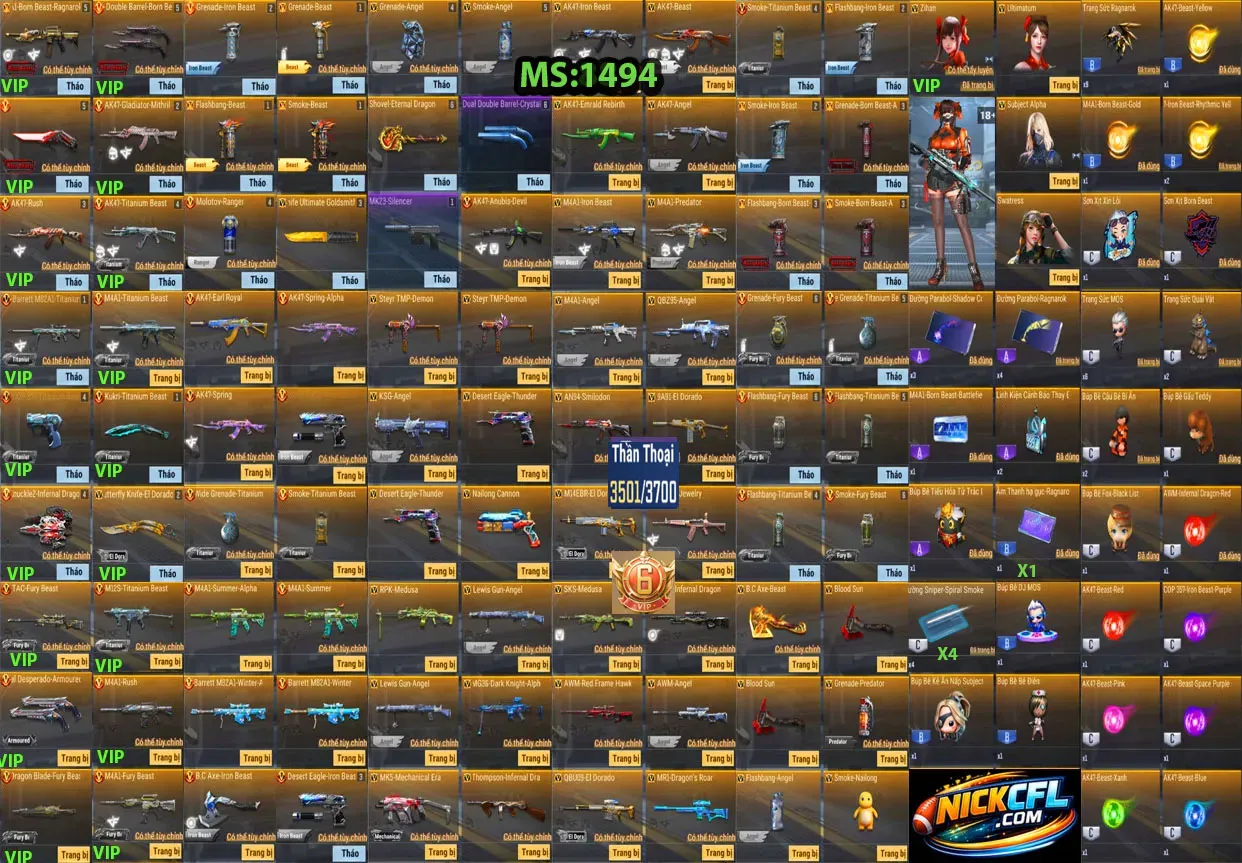 Account 1494