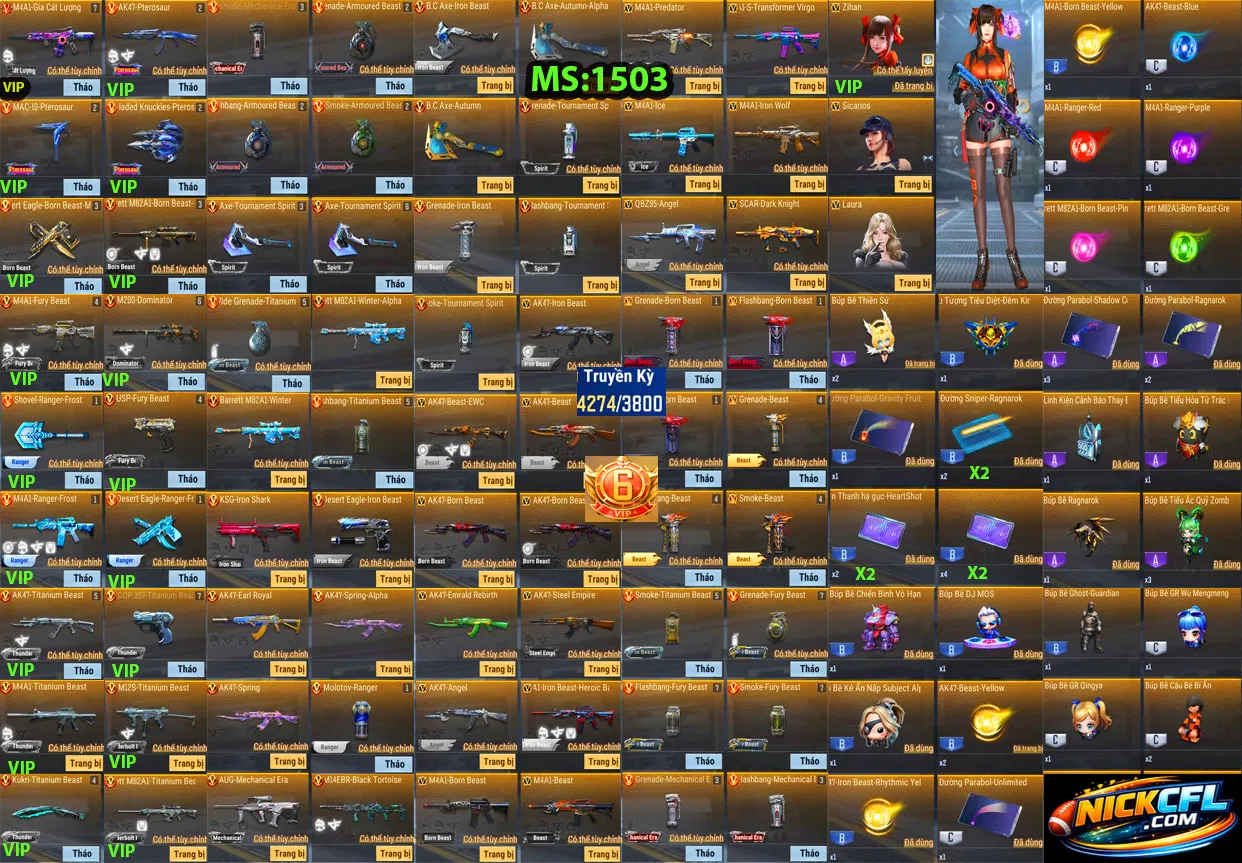 Account 1503