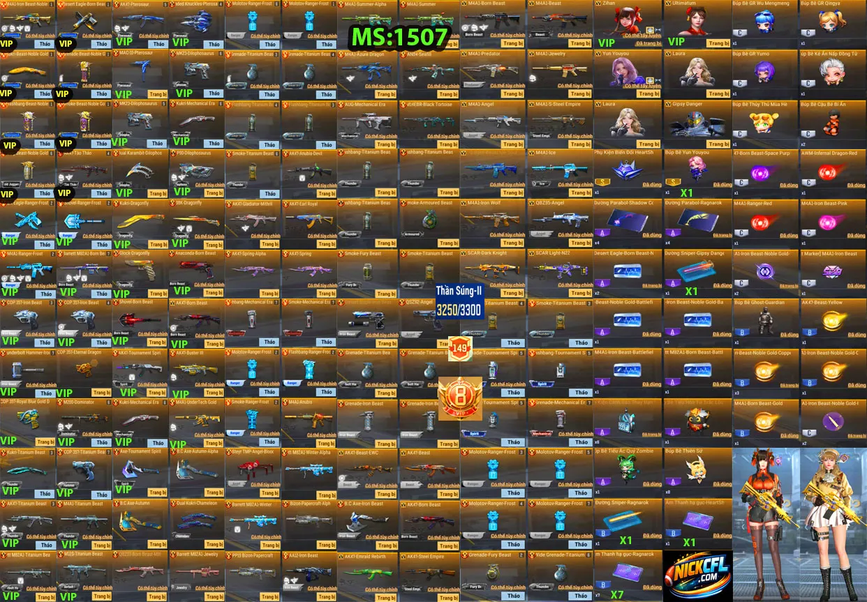 Account 1507