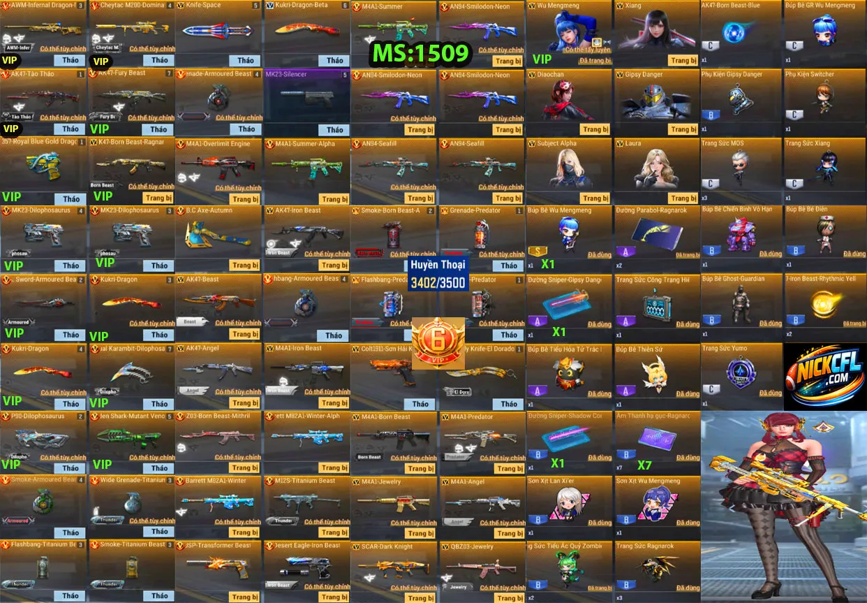 Account 1509