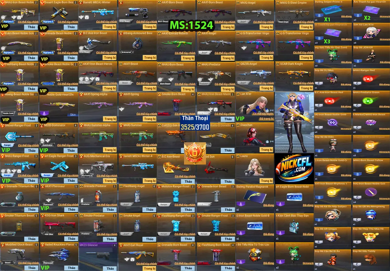 Account 1524
