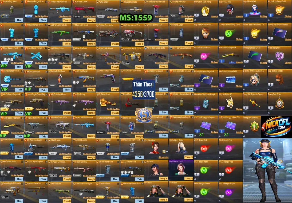 Account 1559